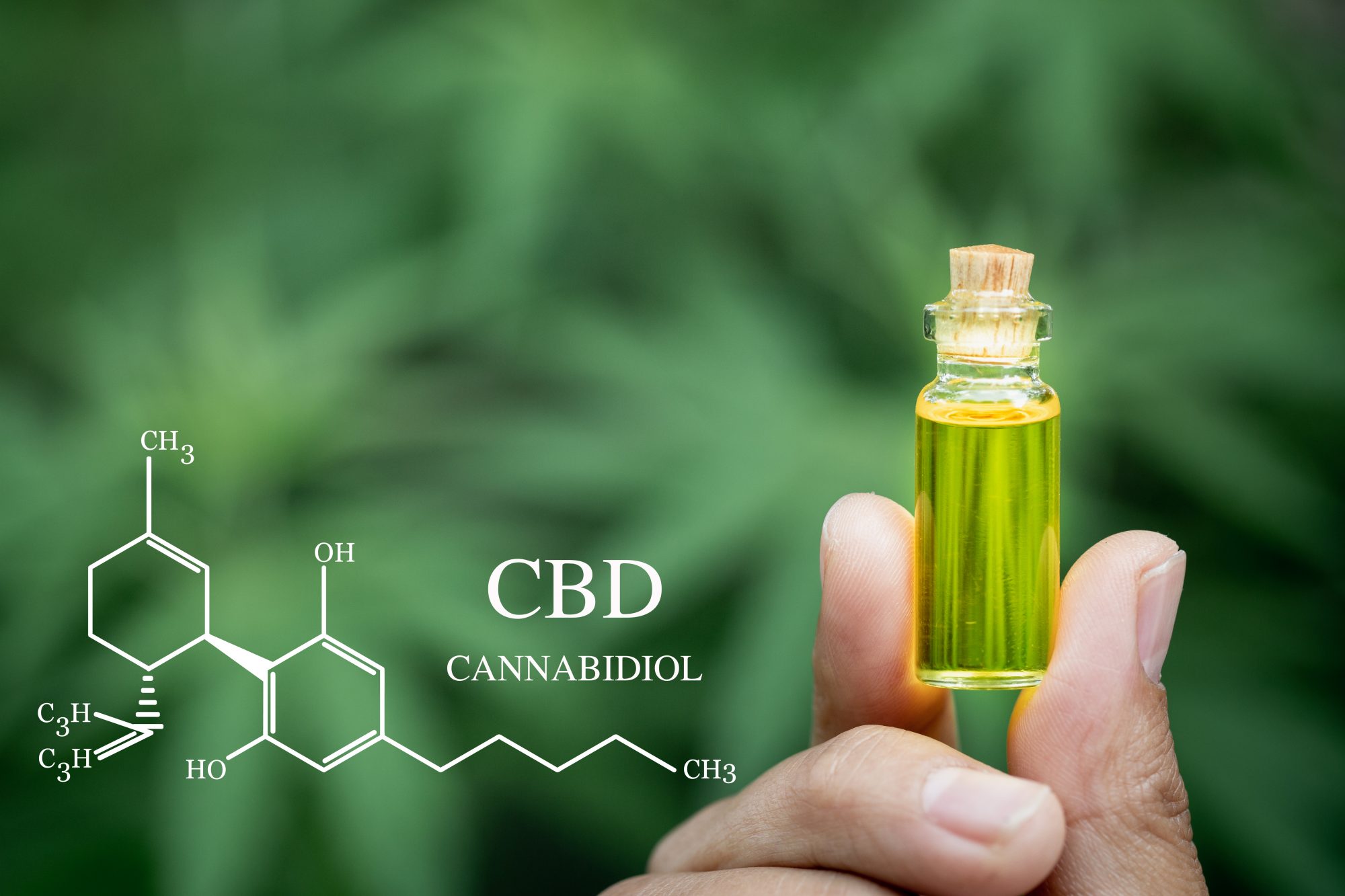 How CBD Works - A Guide To Cannabinoids - CBD.Co